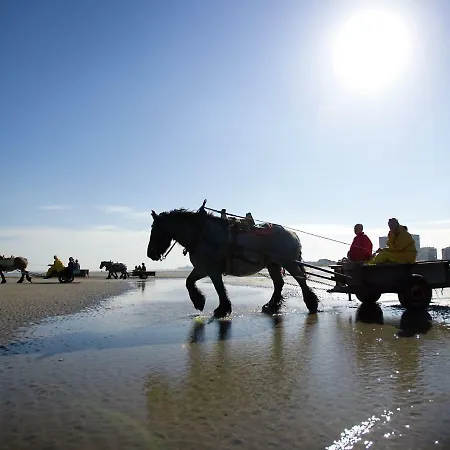 Zonnig Met 3 Slaapkamers En Gratis Parking Apartment Oostduinkerke-Bad